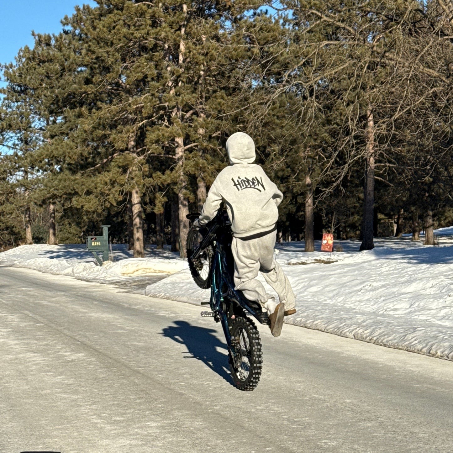 Hidden Graphic Hoodie