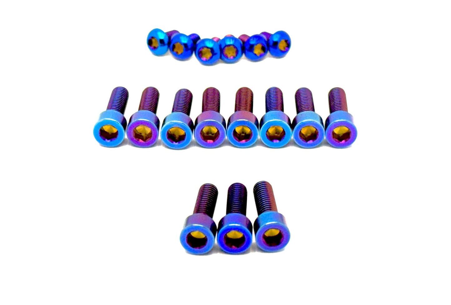 Titanium Bolt Kit for E-Ride Pro SR and Pro SS 3.0 Factory FastAce Fork (ALX32RC)