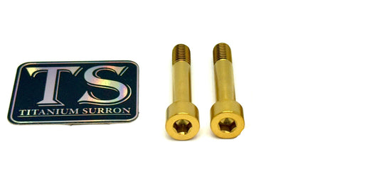 Titanium Hardware for EMoto Worx Shift Lock (LBX, XXX, ERP, Ultra Bee)