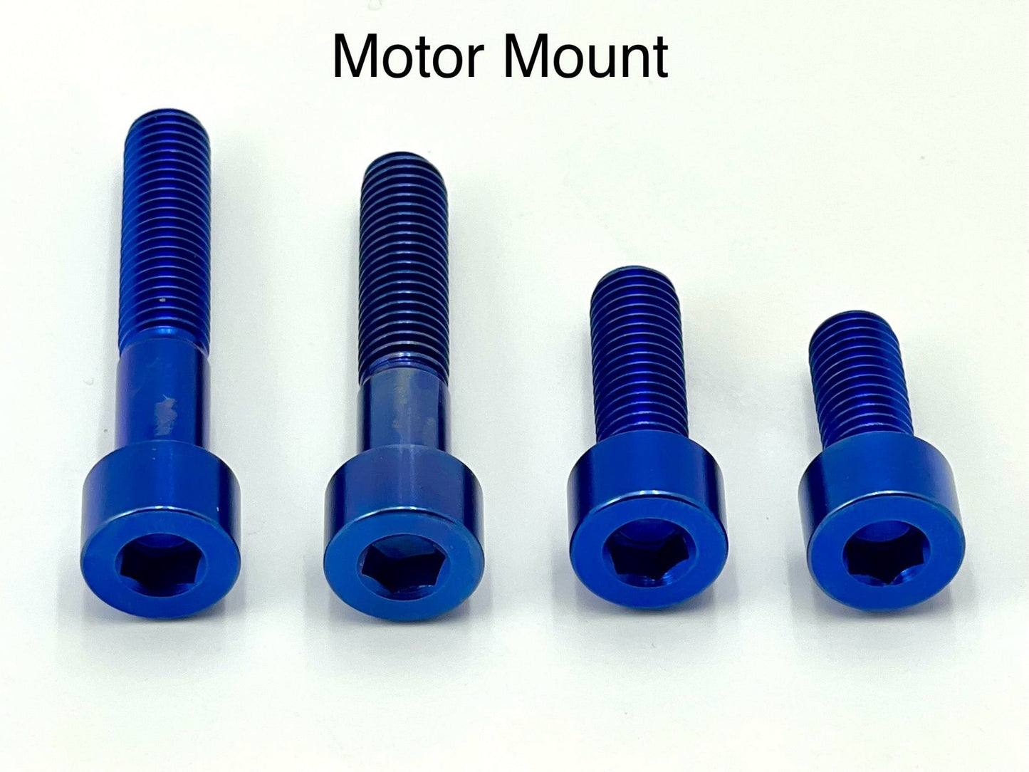 Titanium Motor Bolts - E-Ride Pro (all models)